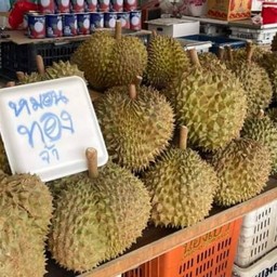 Meเรียน