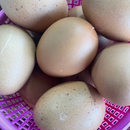 ไข่ต้ม 1 ลูก