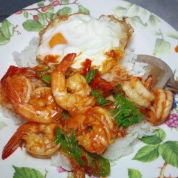 ข้าวราดกะเพรากุ้ง