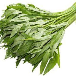 ผักบุ้ง