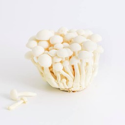 เห็ดชิเมจิ