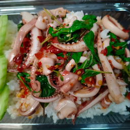 กระเพราหมึก