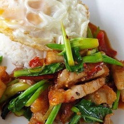 ข้าวราดคะน้าหมูกรอบ