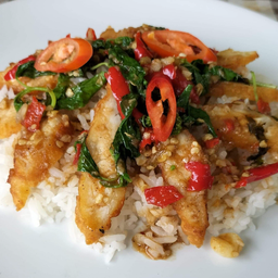 ข้าวกะเพราไก่ทงตัตสี