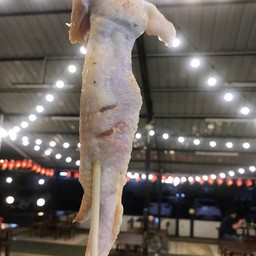 T 鸡大翅 ปีกไก่เต็ม