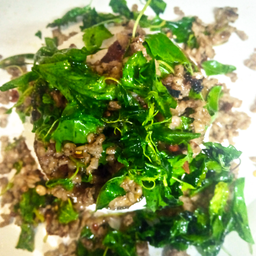 กระเพราไก่สับ+ไข่เยี่ยวม้าราดข้าว