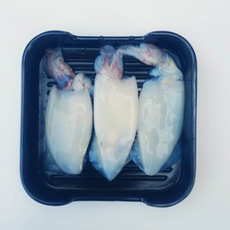 ปลาหมึก