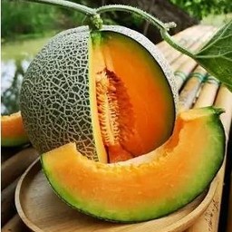 แคนตาลูปปั่นนมสด