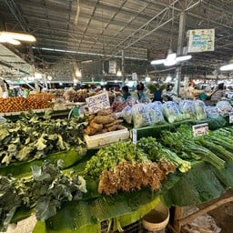 ตลาดดอยมูเซอใหม่