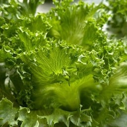 Ping Ping Healthyfood