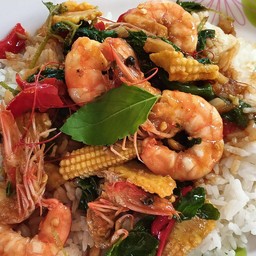 กะเพราหลังร้าน เจโอ