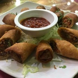 Chicken Spring Rolls