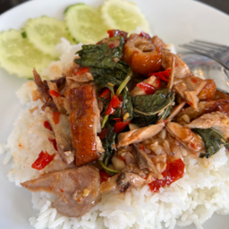 กระเพราเป็ดย่าง ราดข้าว