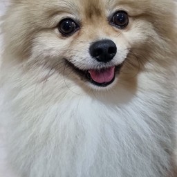 ทิปน้องคูเปอร์