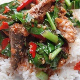 ผัดคะน้าปลากระป๋องราดข้าว