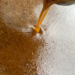 น้ำราดเป็ดย่าง