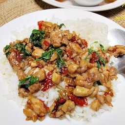 กระเพาไก่ราดข้าว