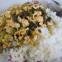 ผัดผักดอง ราดข้าว