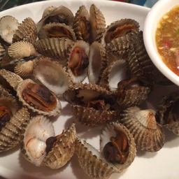 หอยแครงเผา