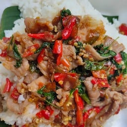 ข้าวกะเพราหมูชิ้น