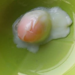 โจ๊กเจ้จ๋า เตาถ่าน