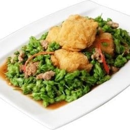 ดอกขจรผัดเต้าหู้หมูสับ