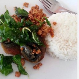 ข้าวกะเพราไข่เยี่ยวม้า