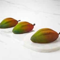 ช็อกโกโฮลิค