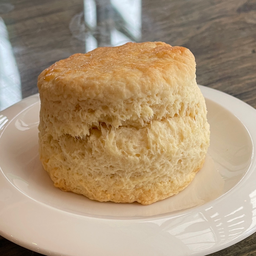 Original Plain Scone