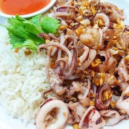 ปลาหมึกทอดกระเทียมราดข้าว