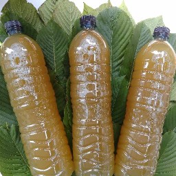 ผลไม่้รวมพร้อมทาน mixed fruit