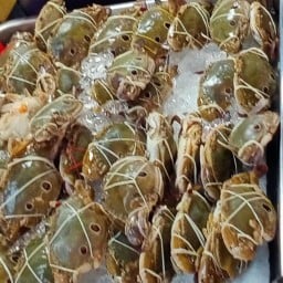 พุงพลุ้ย อาหารเกาหลี ปากเกร็ดวิลเลจ