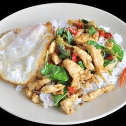 ข้าวราดกระเพราไก่