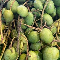 เปรี้ยวปากมะม่วงน้ำปลาหวาน @ตลาดวงศ์เจริ