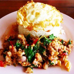 กระเพราไก่ ราดข้าว