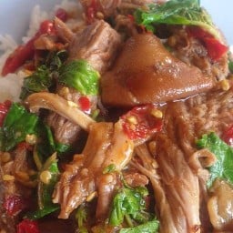 ครัวเจ๊ปุก “ข้าวมันไก่-ข้าวขาหมู อาหารตามสั่ง”