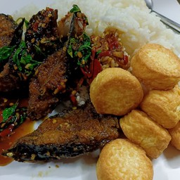 กะเพราปลาดุก+เต้าหู้ทอด