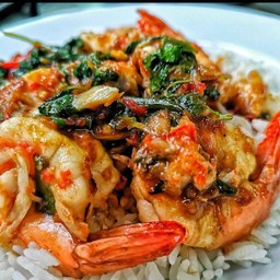 กระเพรากุ้ง ราดข้าว