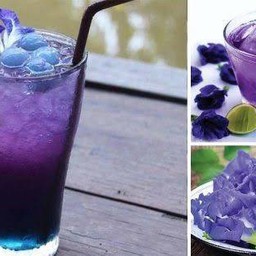 ชาดอกกุหลาบน้ำผึ้งมะนาว