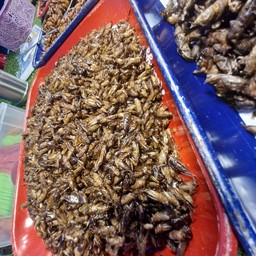 สะดิ้ง (ชุดใหญ่)