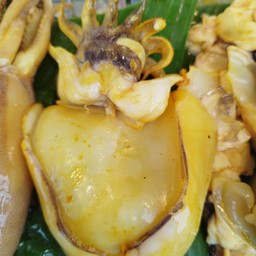 หมึกกระดองย่าง