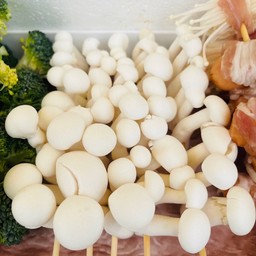เห็ดชิเมจิเสียบไม้