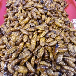 หนอนไหม (ชุดใหญ่)