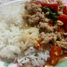 ข้าว+กะเพราหมูสับ