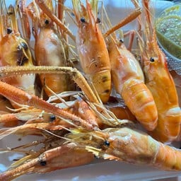 กุ้งเผากุ้งเป็นคลอง7