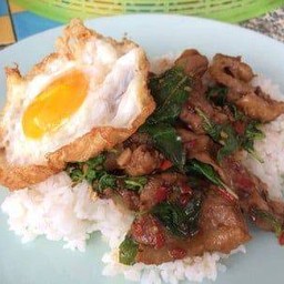 ผัดกะเพราเป็ดราดข้าว