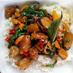 หอยแมลงภู่ผัดใบโหระพา ราดข้าว