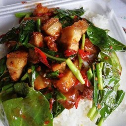 ผัดคะน้า ราดข้าว