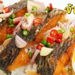 ข้าวปลาแกะ+ไข่ต้ม (พิเศษ)