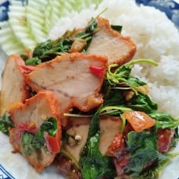 กระเพราหมูแดง (((( ขายดี ))))